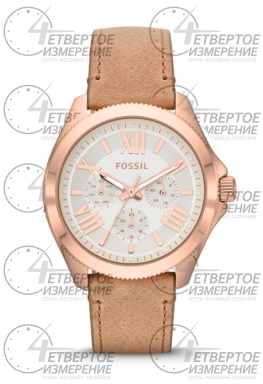 Часы Fossil AM4532