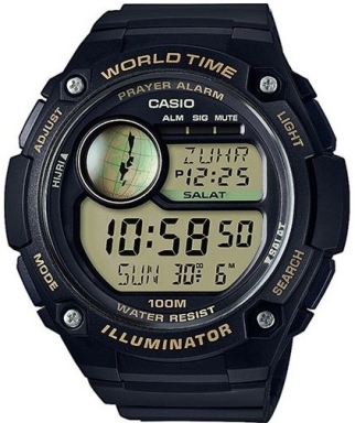 Часы Casio Collection CPA-100-9A