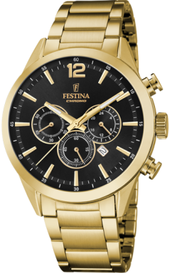 Часы Festina Timeless Chronograph F20633/3
