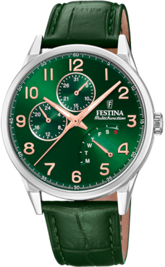 Часы Festina Multifunction F20278/D